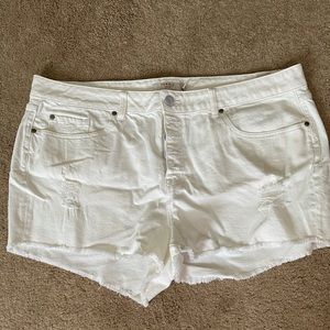 Torrid button up fly white denim shorts